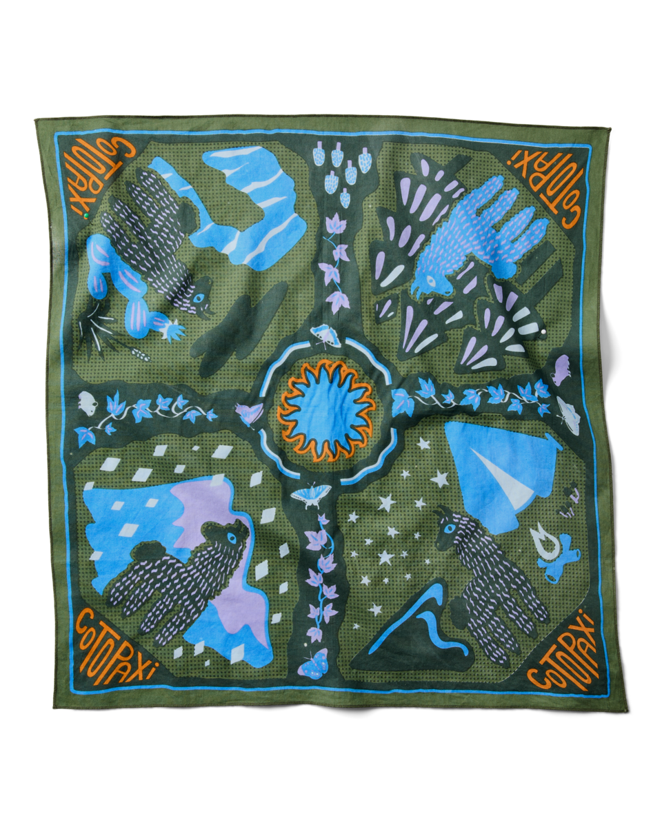 Organic Cotton Bandana